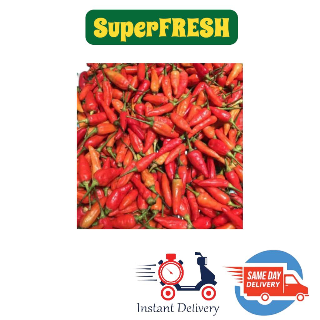 

Cabe Rawit merah Super berkualitas