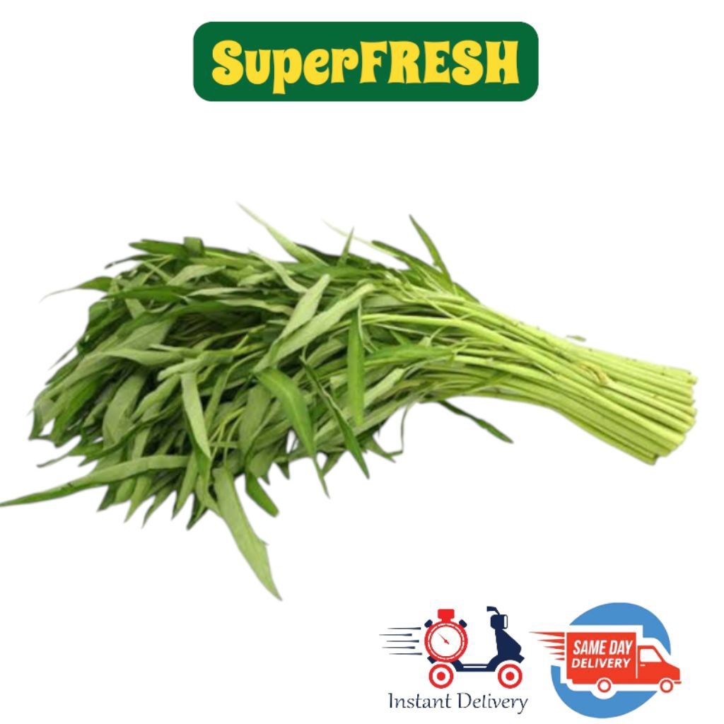 

Kangkung SEGAR Berkualitas