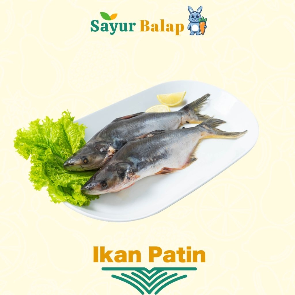 

Ikan Patin Segar - 1/2 Kilo - Sayur Balap Lampung
