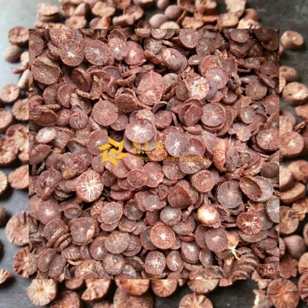 

Buah pinang kering 1kg | buah pinang kering kaya manfaat tinggal seduh