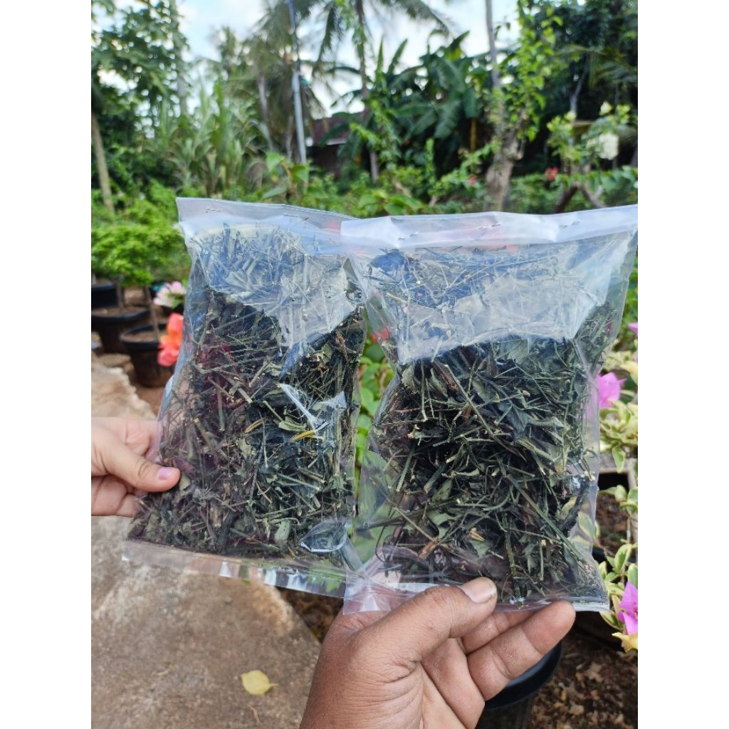 

sambiloto kering daun sambiroto kering herbal alami 100% original