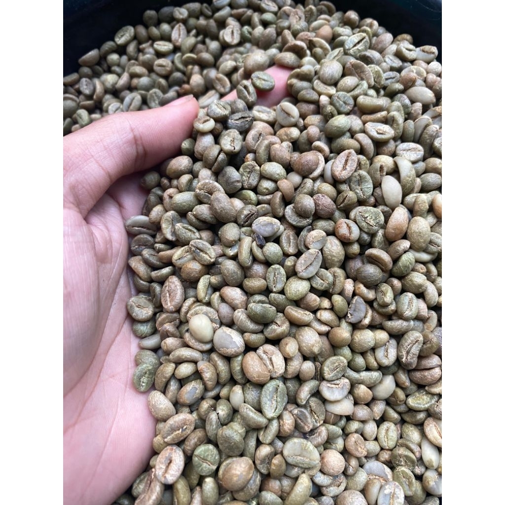 

green bean /biji kopi robusta pilihan 500gr