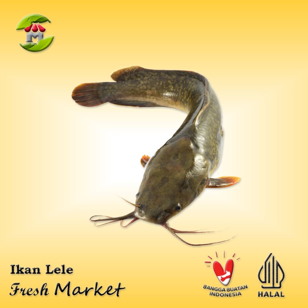 

[JAKBAR] Ikan Lele Frozen Pack 950gr - 1kg