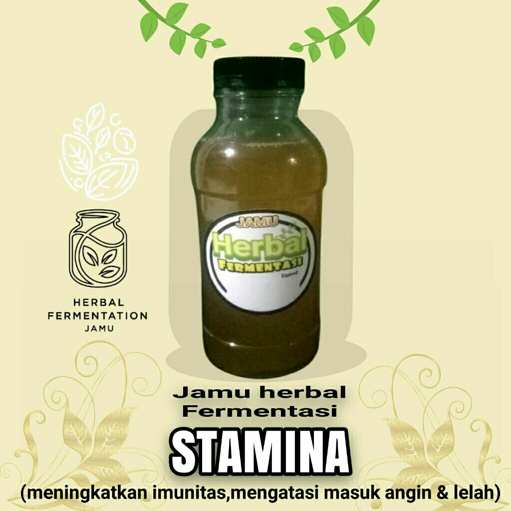 

jamu herbal fermentasi stamina