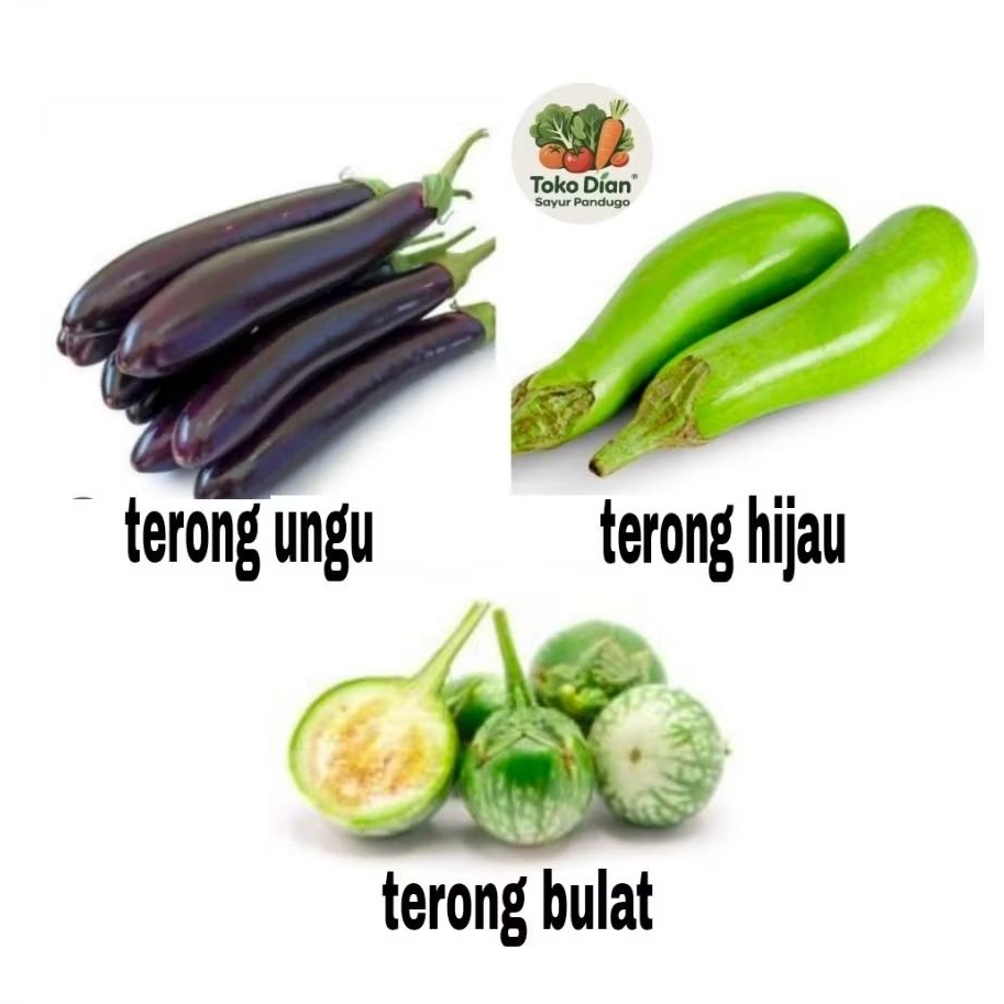 

KIRIM BESOK Aneka terong segar/terong ungu/terong hijau/terong bulat/terong lalap