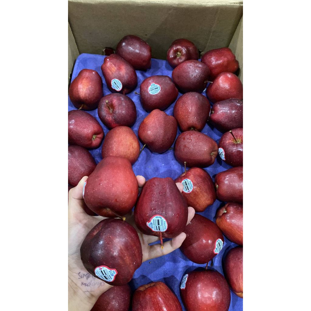 

Apel Merah Washington
