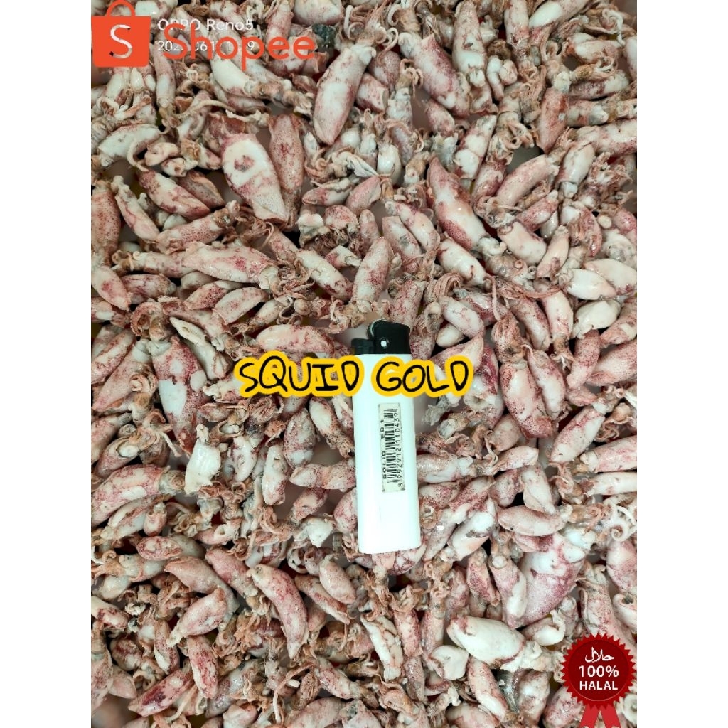 

grosir cumi asin/rebus/sotong/baby 500 gram