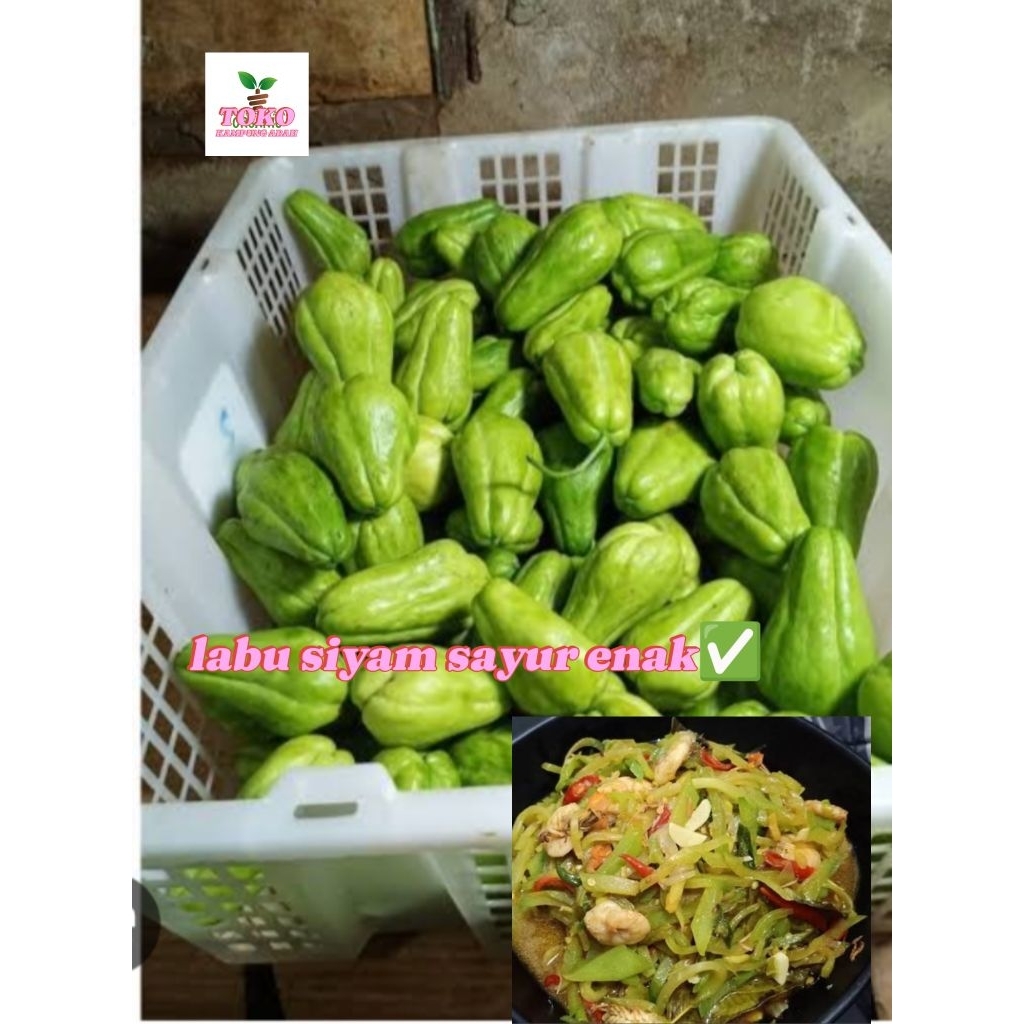 

labu siam muda sayur lezat 1 kg