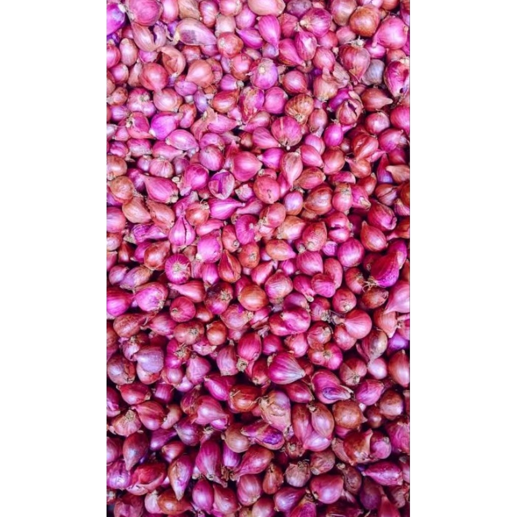 

bawangmerah1kg