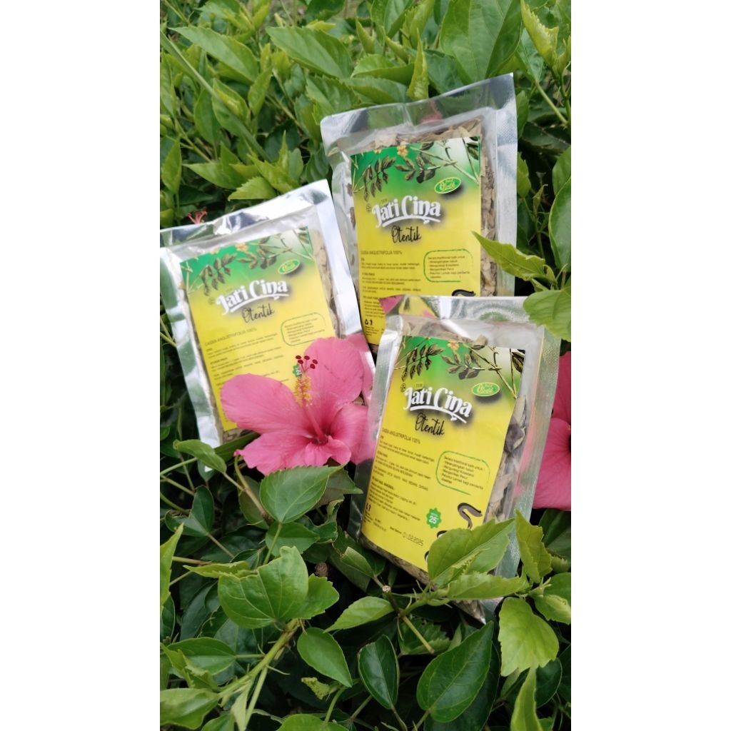 

JATI CINA PENDAMPING WSKAPSUL