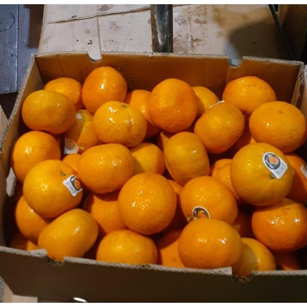 

Indukbuah Buah Jeruk Murcot Manis Seger 1 Dus ±9Kg
