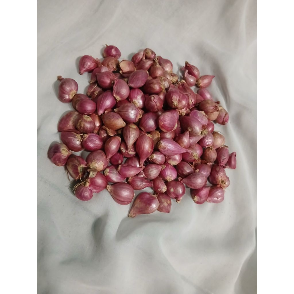 

Bawang merah kecil (acar/gerusan)
