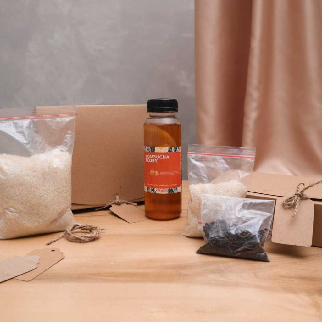 

Kit DIY Kombucha Homemade 1–3 Liter | Starter SCOBY + Bahan Lengkap Minuman Probiotik Sehat