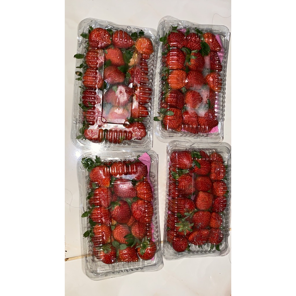 

strawberry 1kg, 500gram, dll