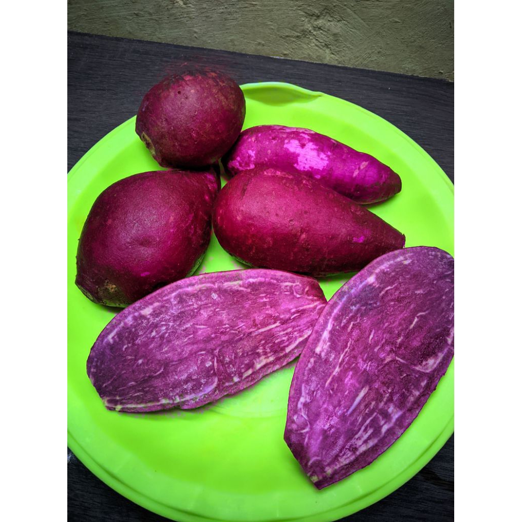 

ubi ungu ubi ungu enak manis 1kg