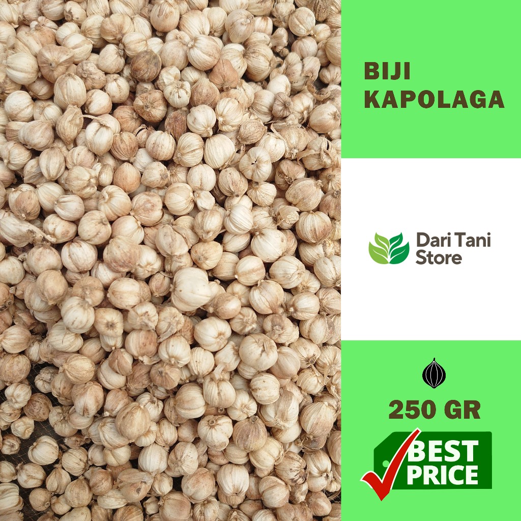 

Kapulaga/Kapol Kualitas Premium 250 gram tanpa kimia