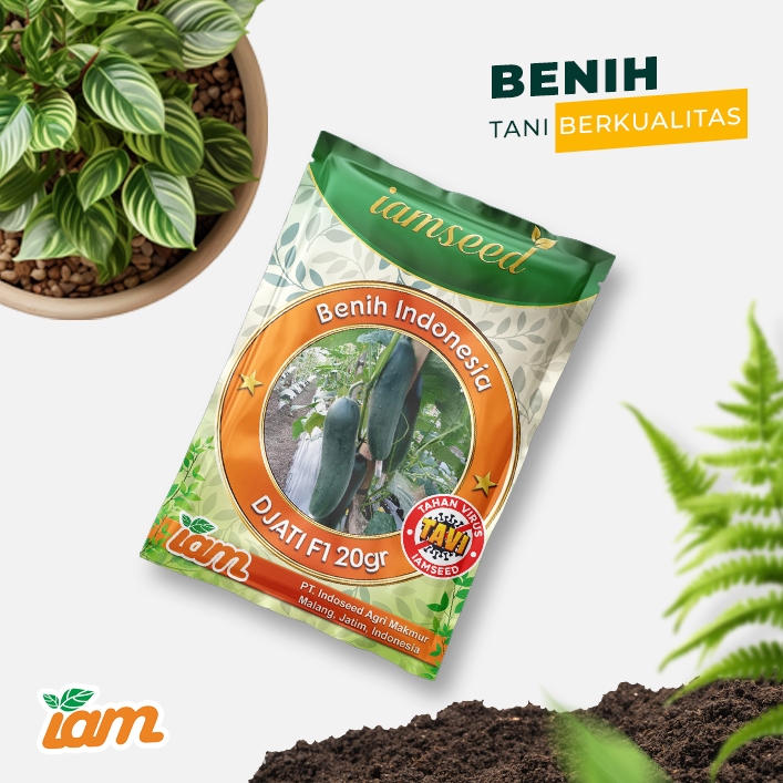 

Djati F1 20gr | Timun