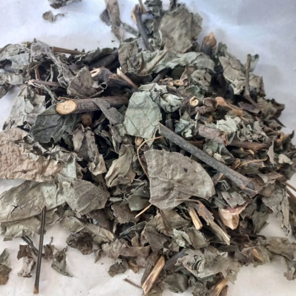 

Daun Kejibeling Herbal Kering Grosir