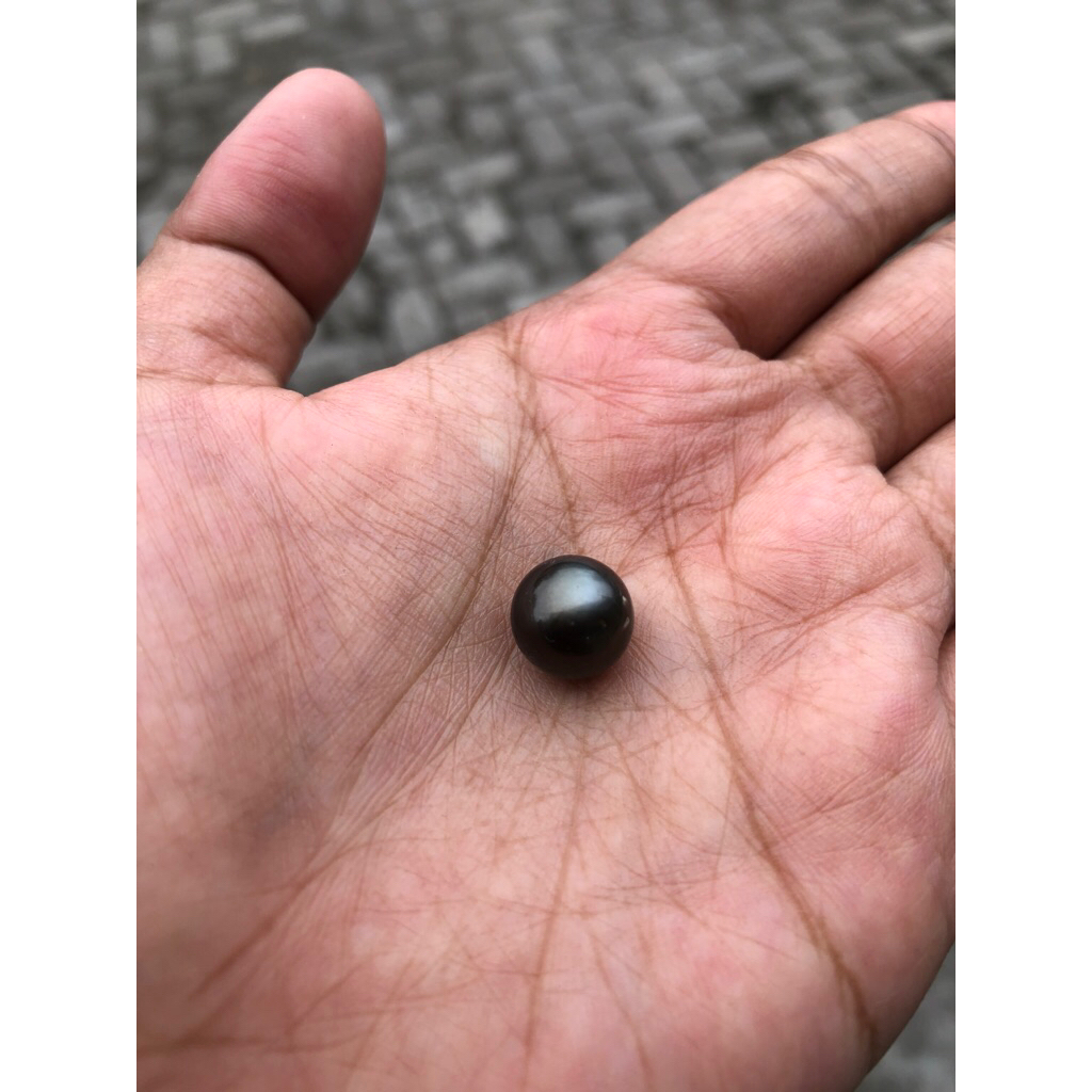 butiran mutiara air laut hitam tahiti grade B