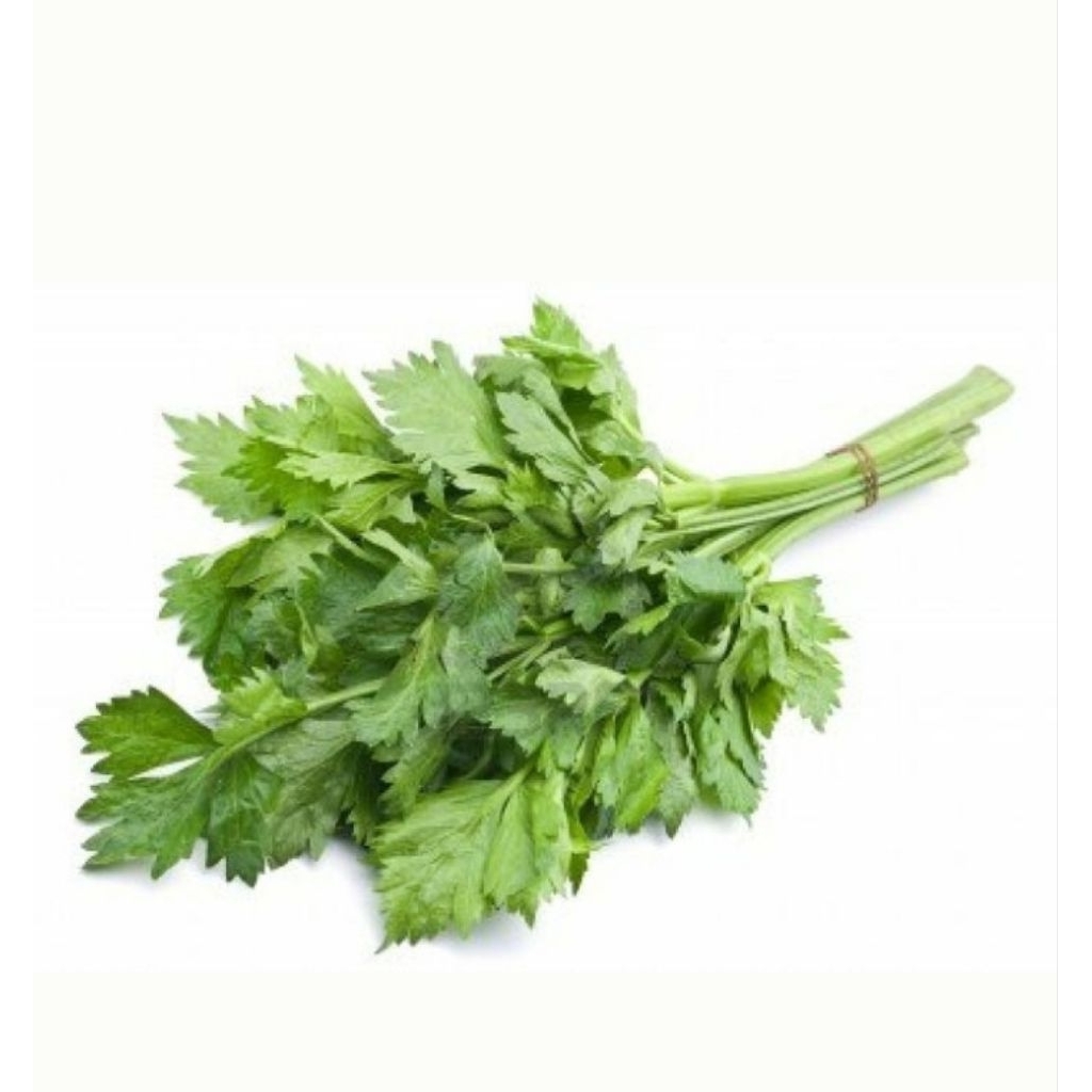 

Seledri Segar 100 gr