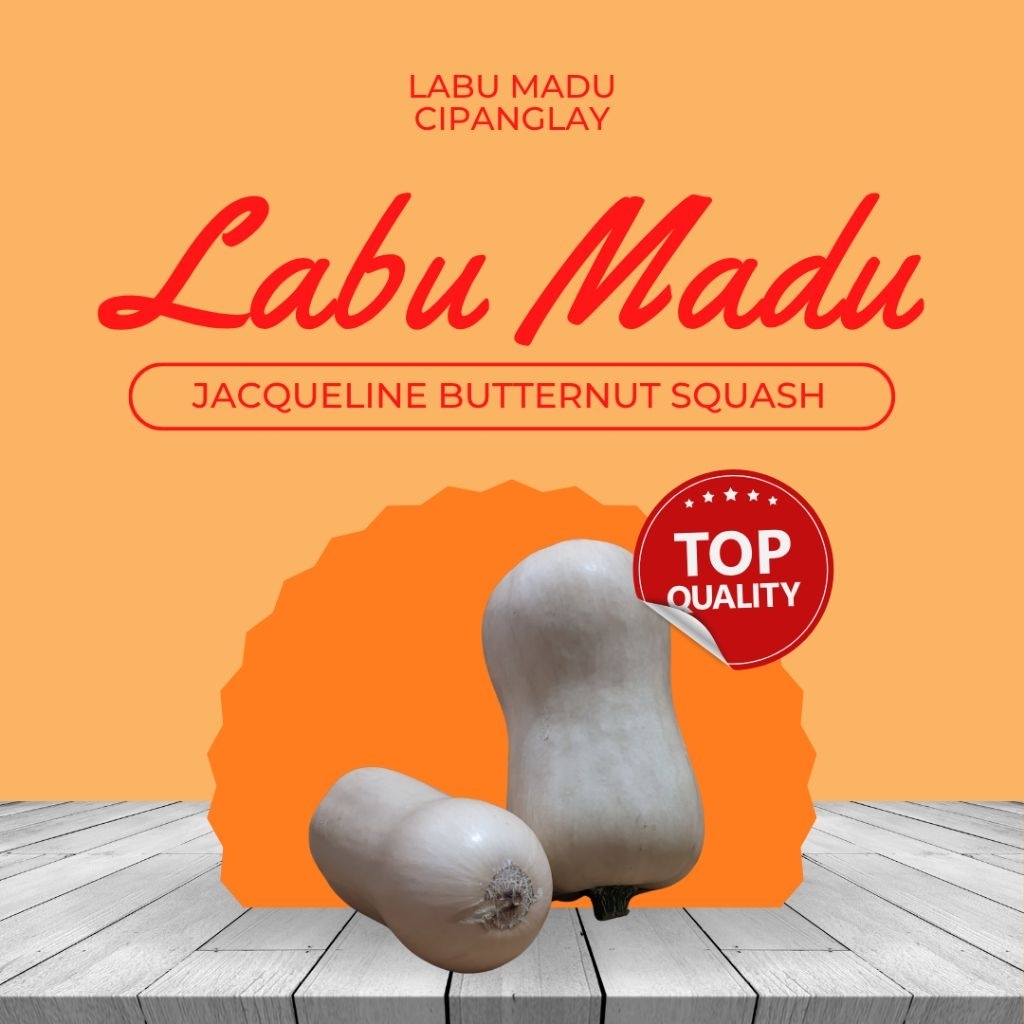

Labu Madu Jacqueline Butternut Squash Pumpkin