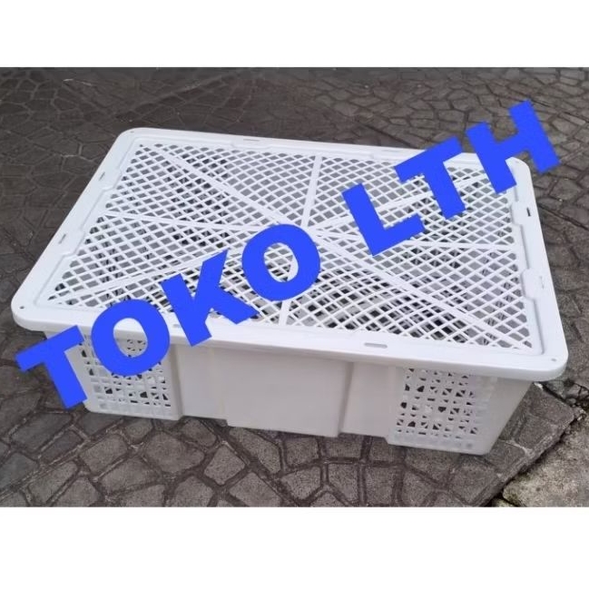 KERANJANG BUAH LENGKENG PARCEL SAYUR PLASTIK + TUTUP SAVANA BOX LUBANG SERBAGUNA