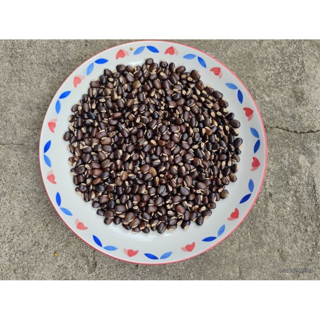 

Mucuna Bracteata ( MB ) Lokal super 500 Gr