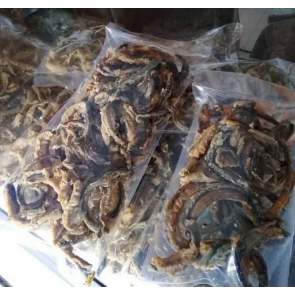 

KRIPIK BELUT RENYAH &GURIH(250gr)