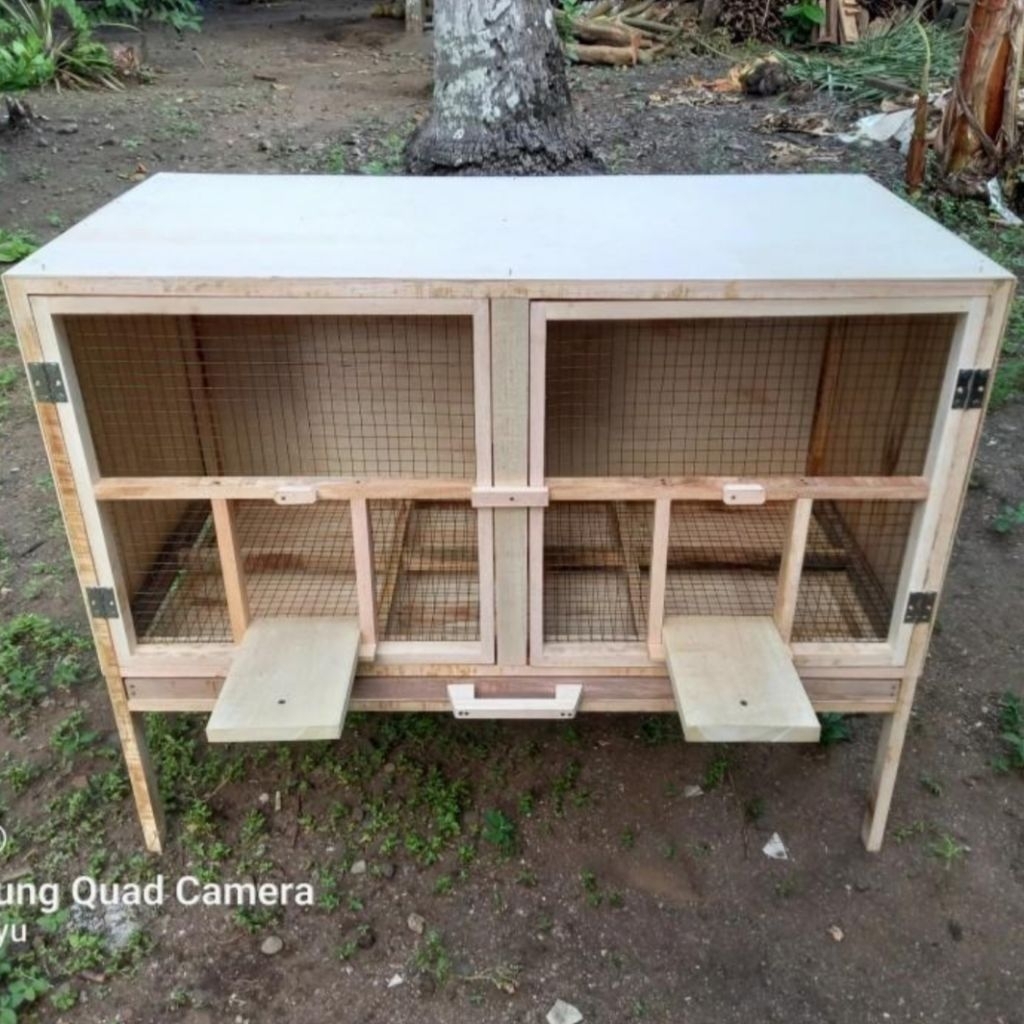 Kandang Burung Merpati Dara 2 Pintu Full Kayu | Kandang Burung Kayu Outdoor Estetik