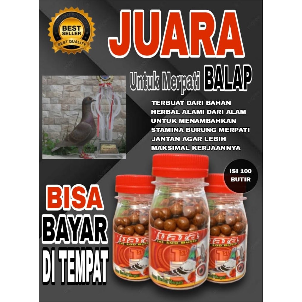 JAMU MERPATI JUARA NGOLONG ISI 100 PIL GIRING TERBANG TINGGI TURUN KENCANG BERANI Performa terbang t