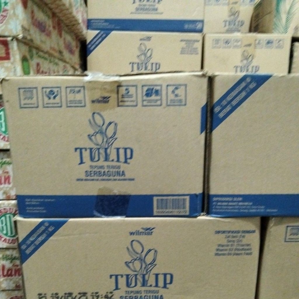 

Tulip Tepung Terigu