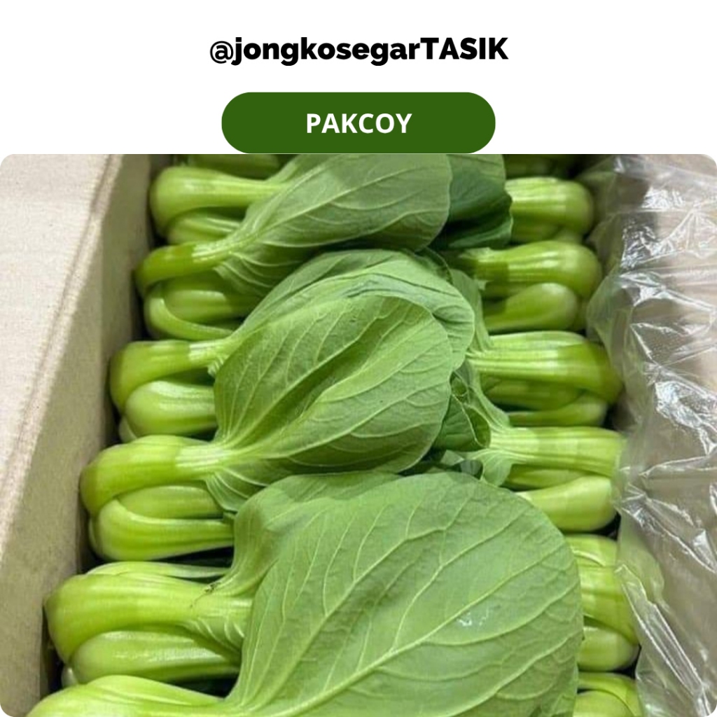 

jongkosegarTASIK - Pakcoy Hijau Segar Fresh 100-500 gram