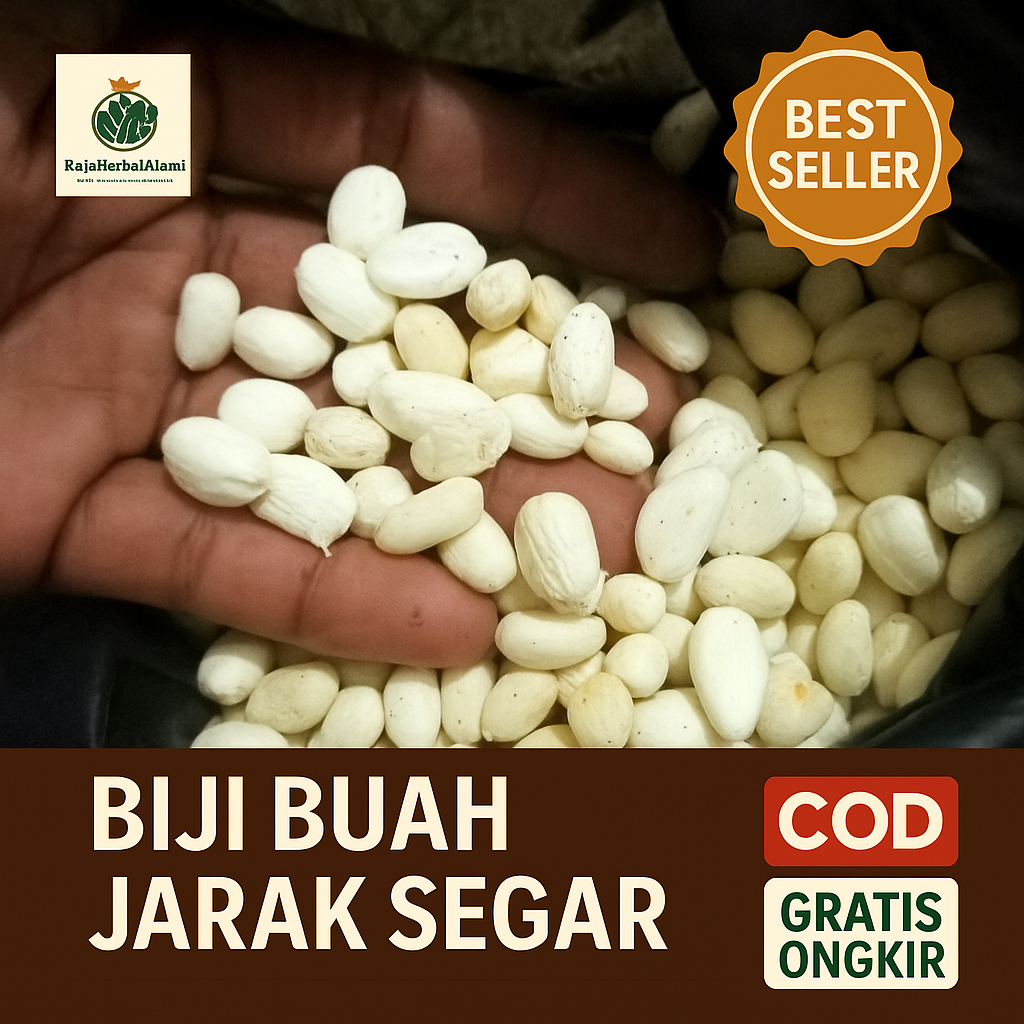 

Biji Jarak Kupas Super Mentah1 PCS Siap Olah | COD