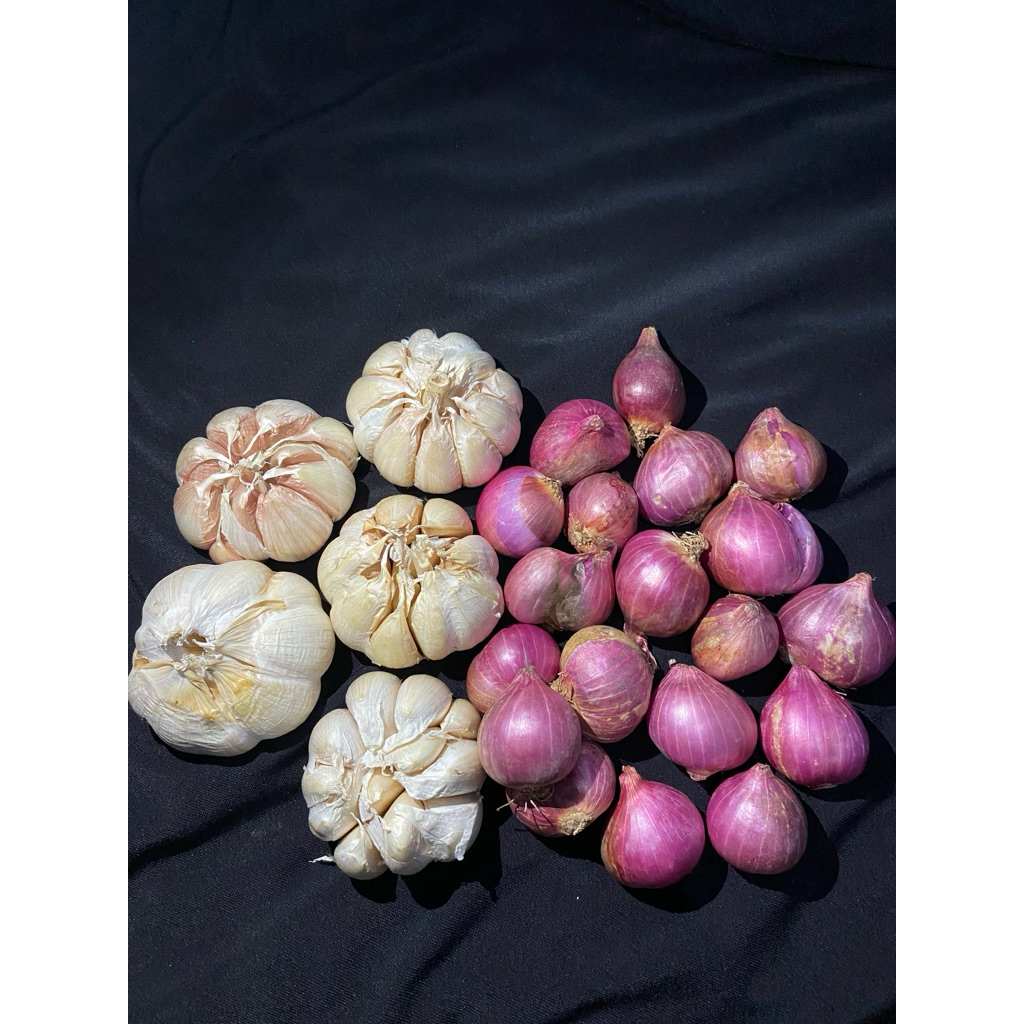 

Bawang Merah Probolinggo MIX Bawang Putih Sinco