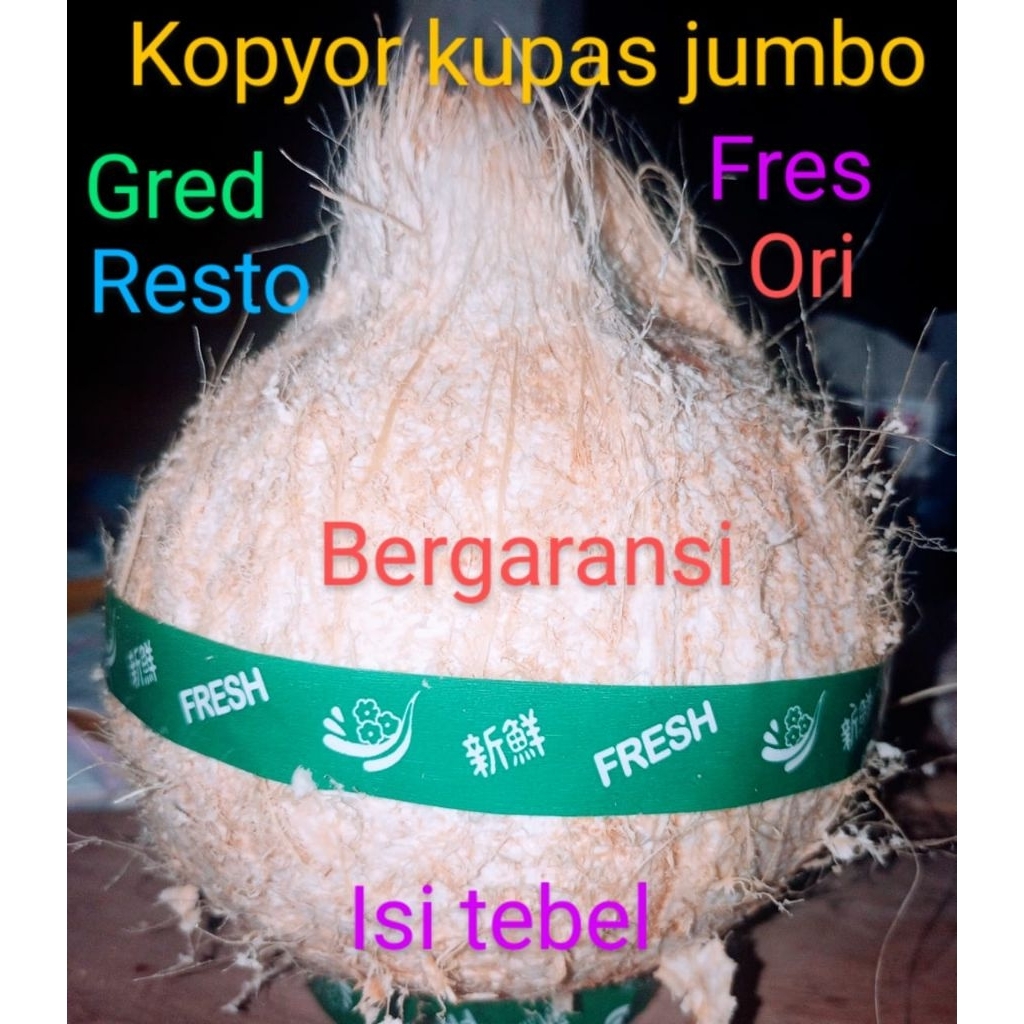 

kopyor utuh kupas, jumbo uk56-58cm
