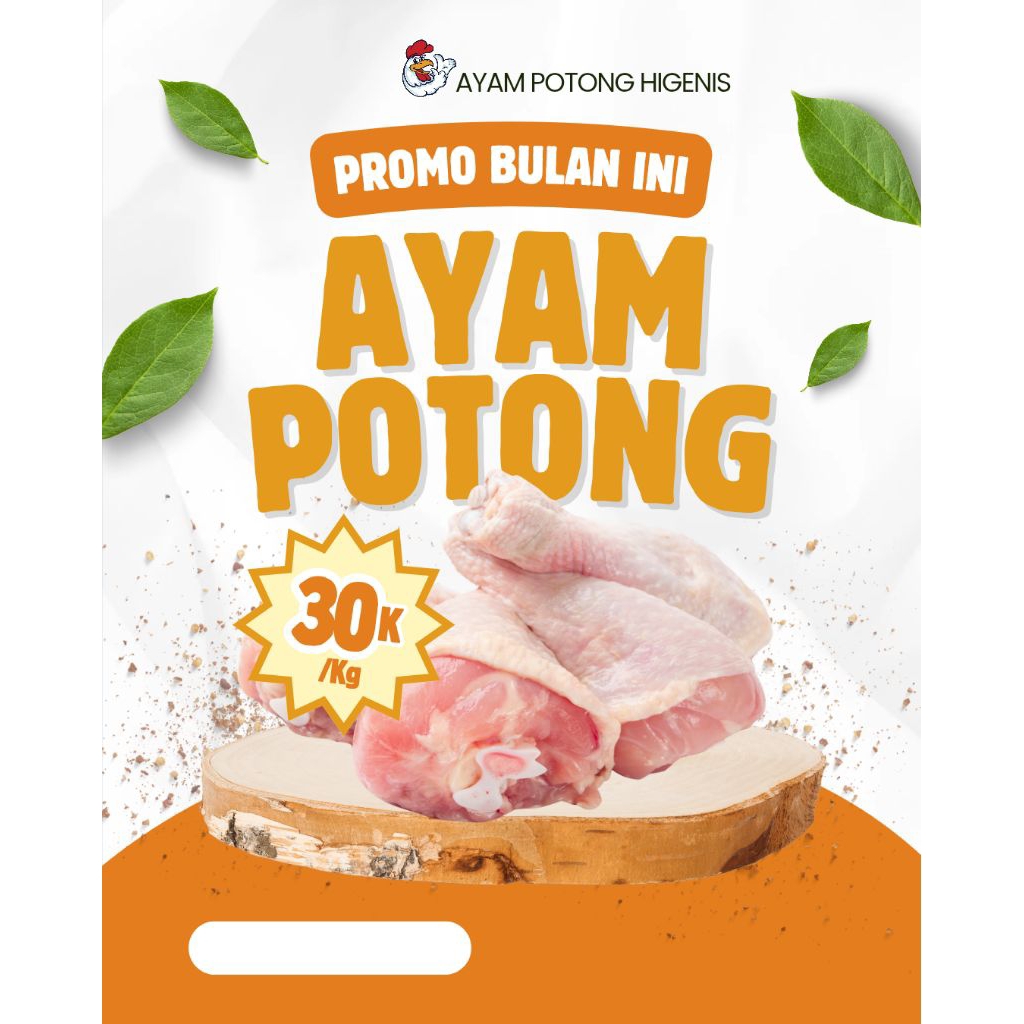 

ayam potong broiler