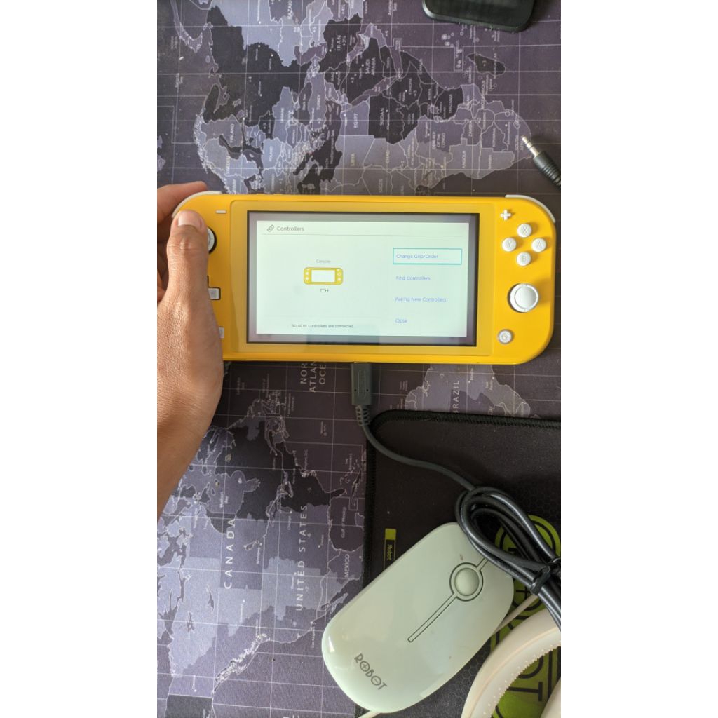 Nintendo Switch Lite