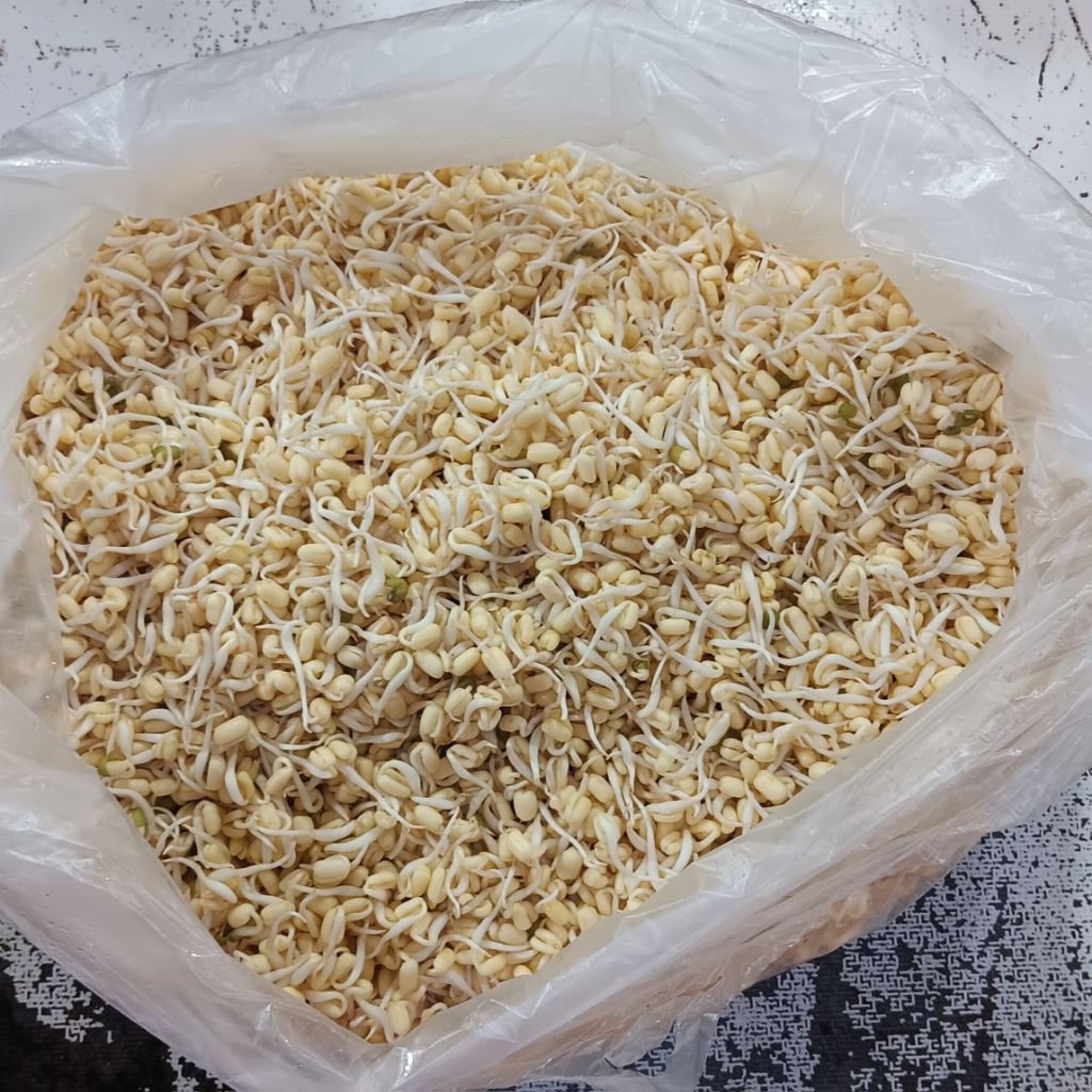 

touge kecambah 250gr