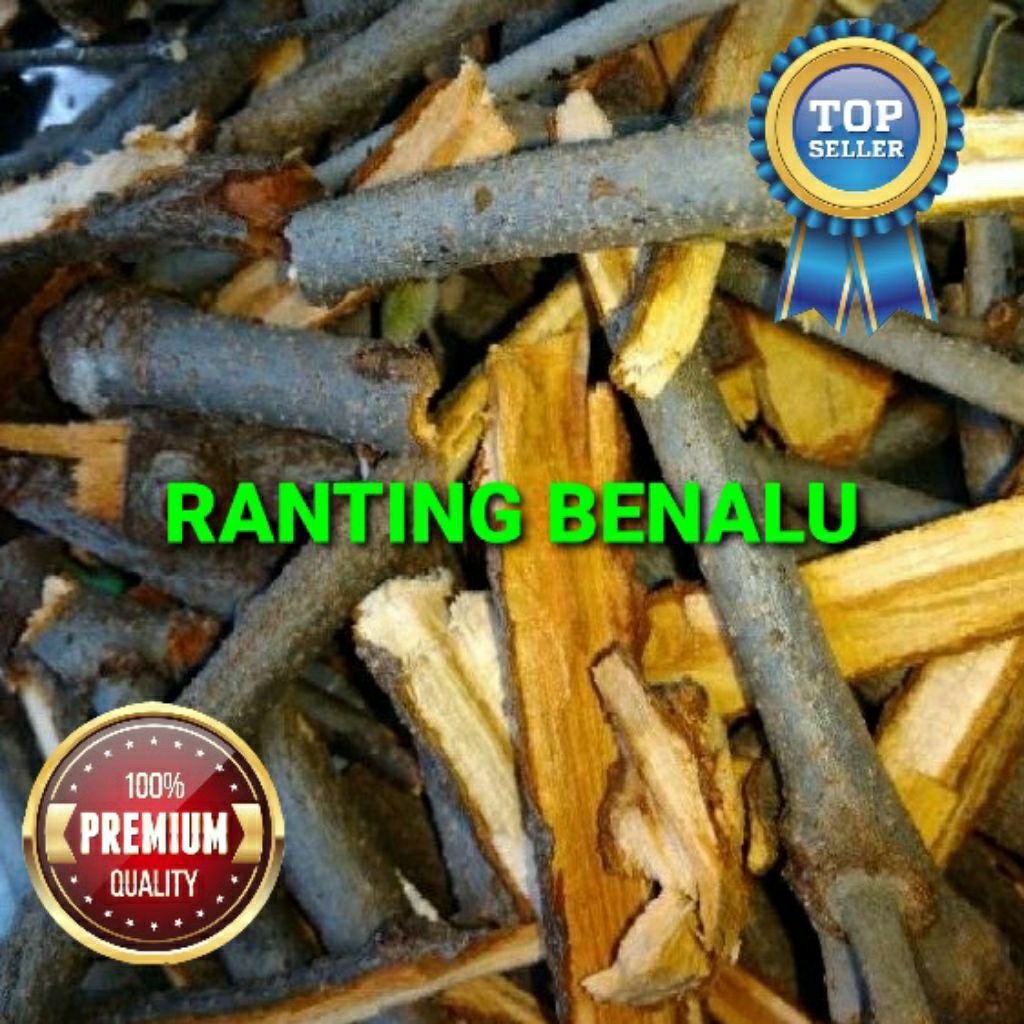 

Ranting/batang benalu jeruk super grade A+ 1 kg/1000 gram
