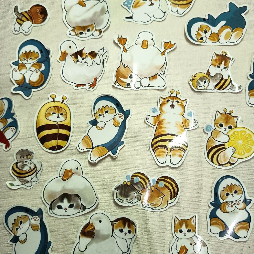 

[Nyu] Sticker anak kucing lucu anti air stiker buku stiker motor stiker kucing stiker mobil stiker anak