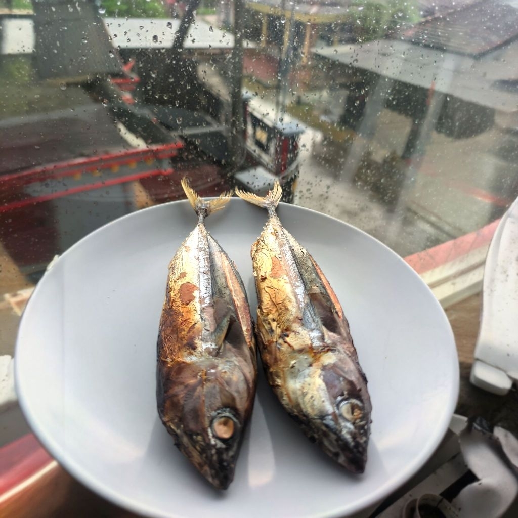 

Ikan Cakalang Asap Paket Isi 2-3 Ekor | Ikan Asap Murah | Lezat & Maknyus | Fishy Feasts