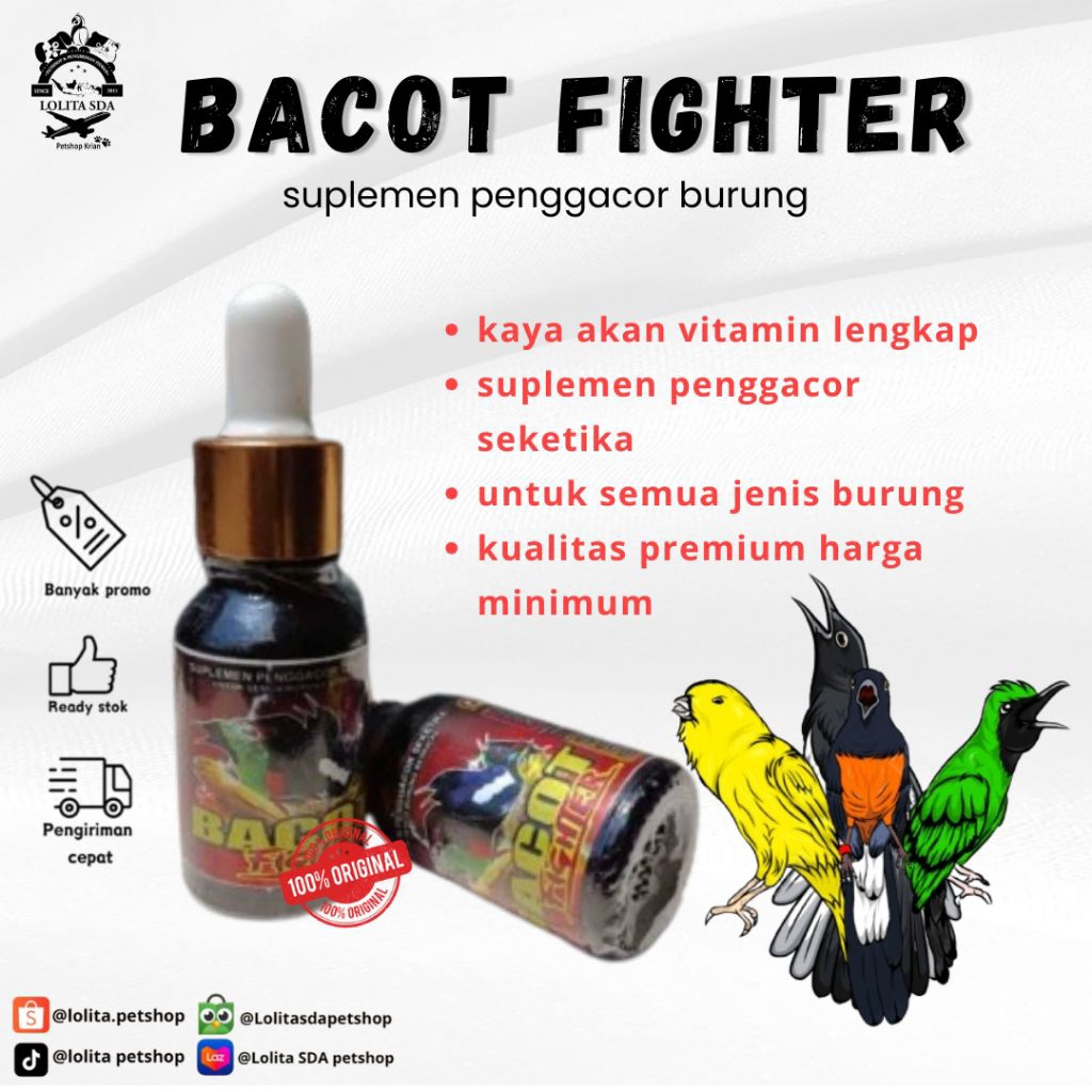 bacot fighter vitamin burung biar gacor dan fighter