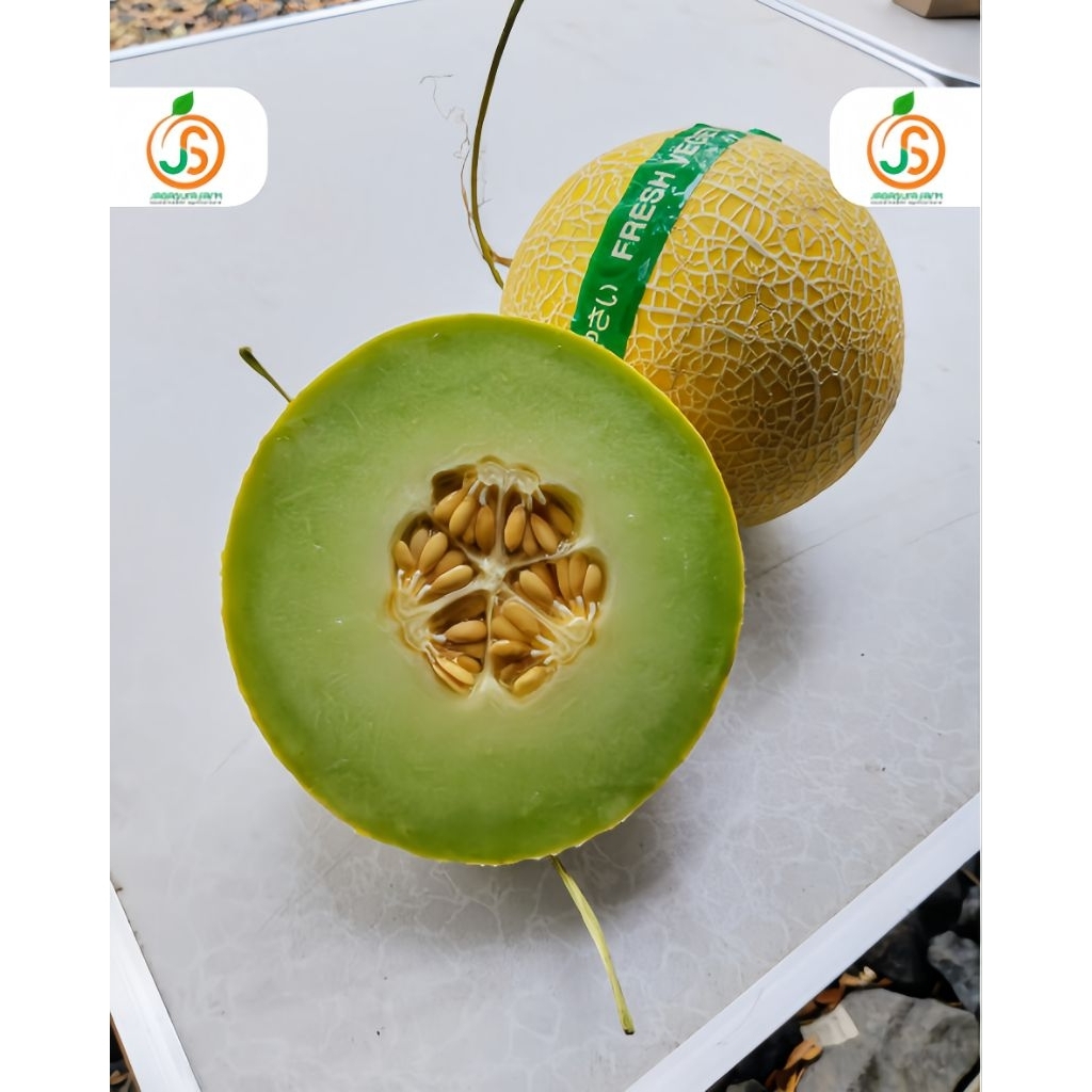 

Melon Inthanon cocok untuk penderita diabetes