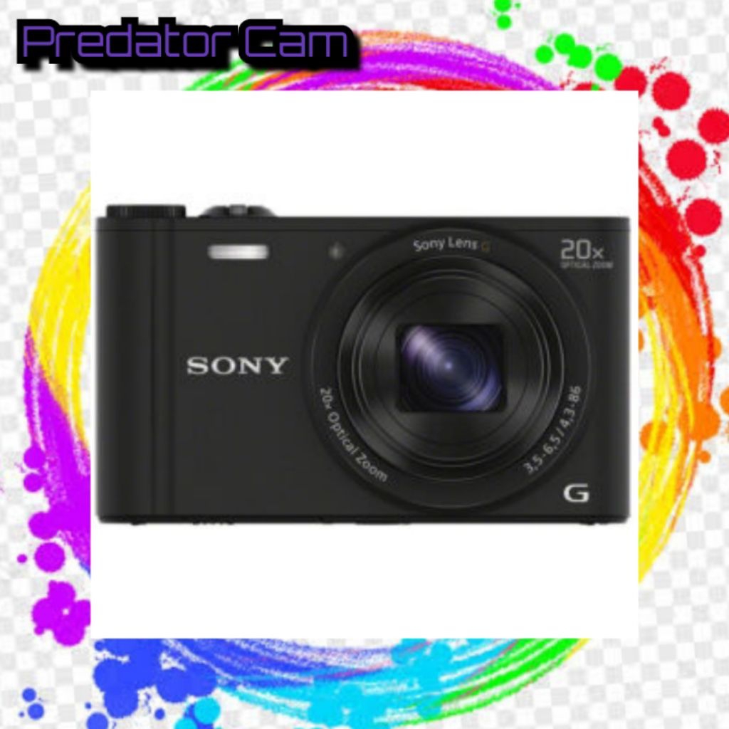 Sony Cyber-shot DSC-WX350 Digital Camera
