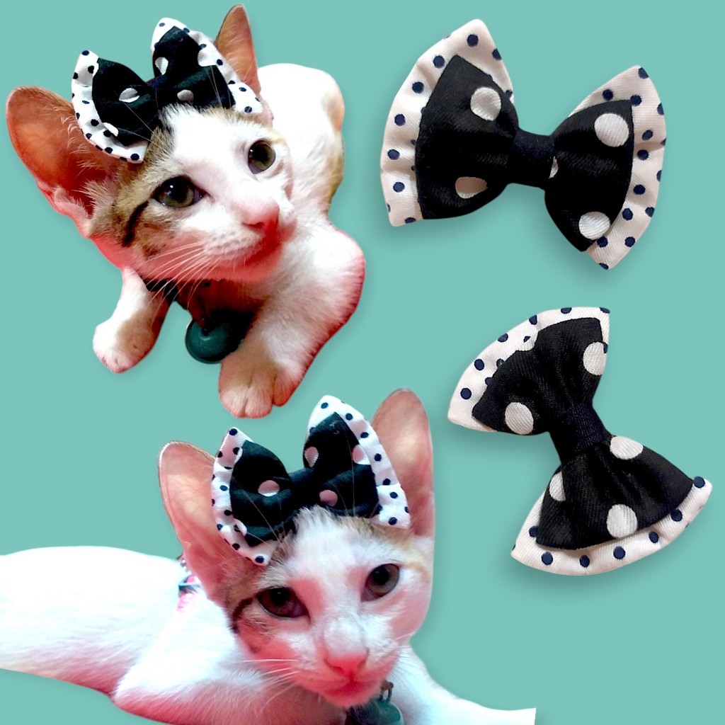 [ PITA]|Migo Aksesoris A02| Jepitan Bulu Anabul Polkadot Hitam Putih Bowtie Dasi Kupu / Kucing/Anjin
