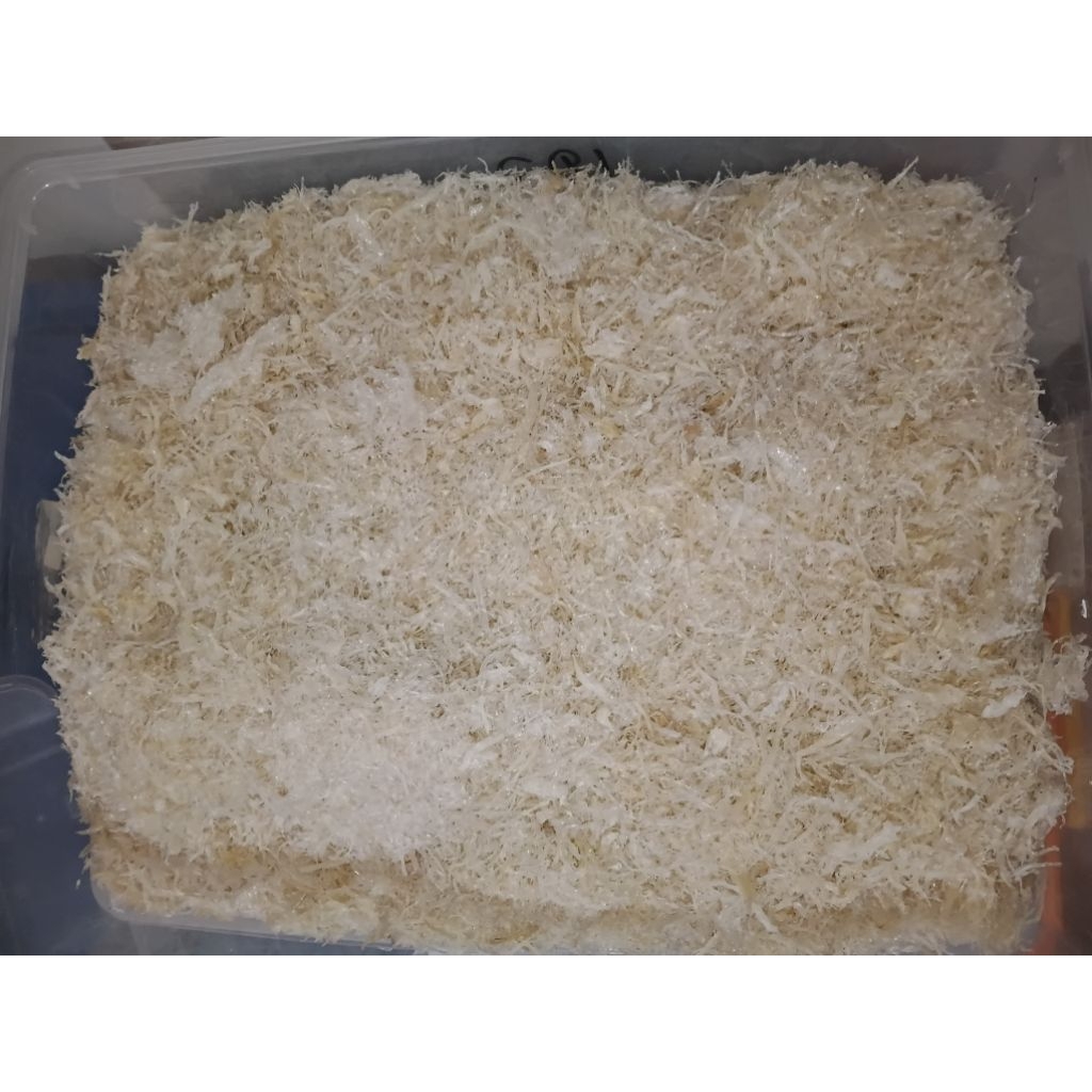 

sarang burung walet kering hancuran 5g & 10g