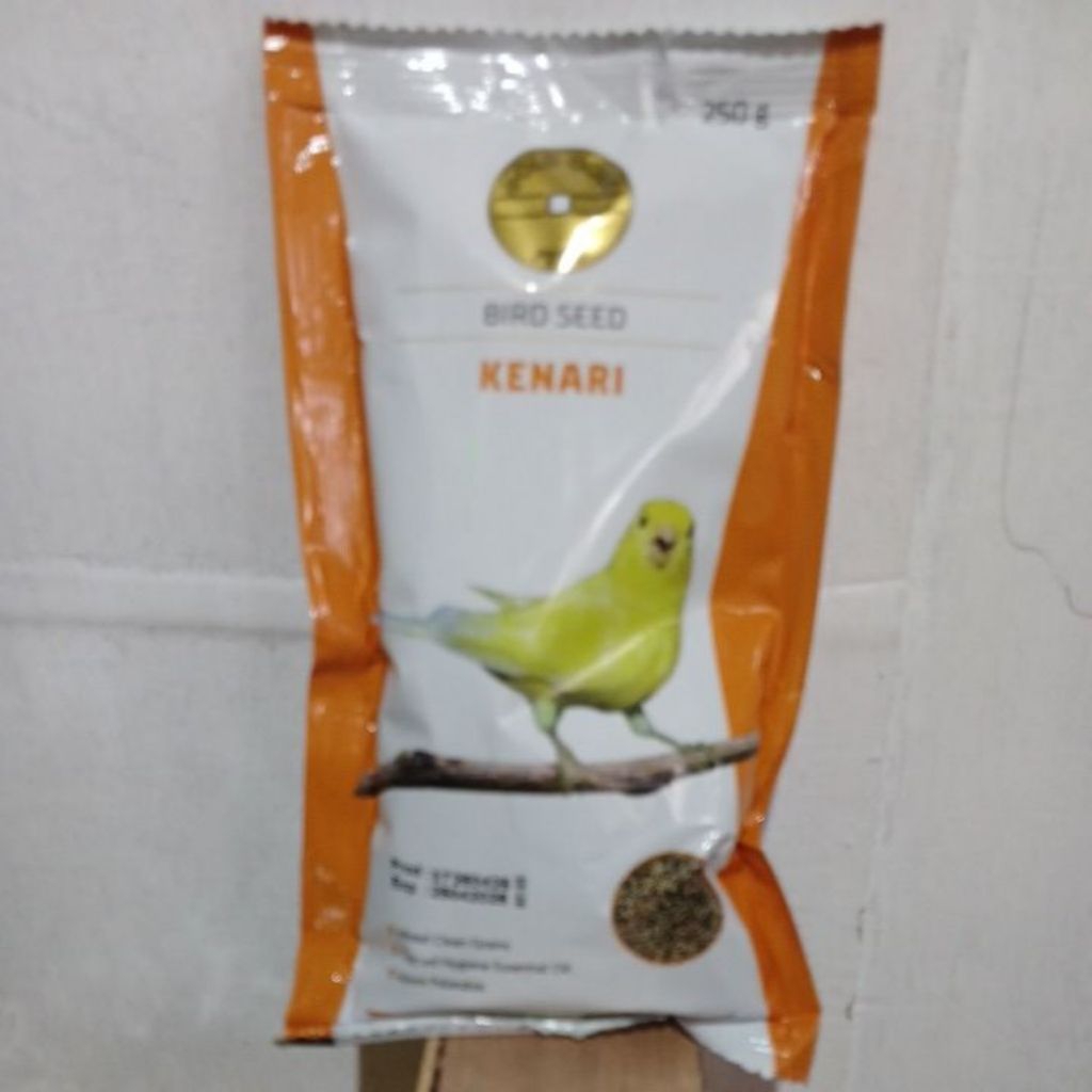 gold coin kenari gold coin kenari