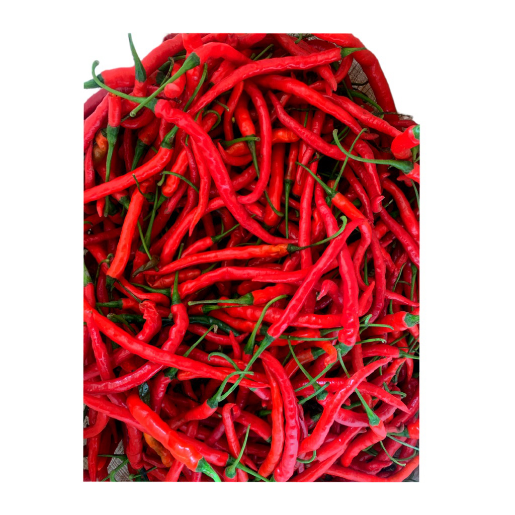 

Cabai merah keriting murah fresh -belanja hemat