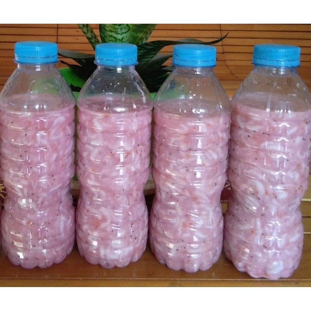 

Pedak Udang/Hakoi/Hekoi/Cincalok Udang Khas Pontianak 320gr
