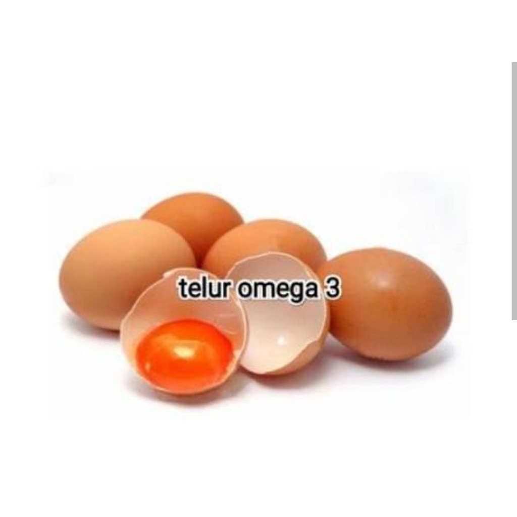 

Telur Omega Harga Per 30 Butir Alias 2KG